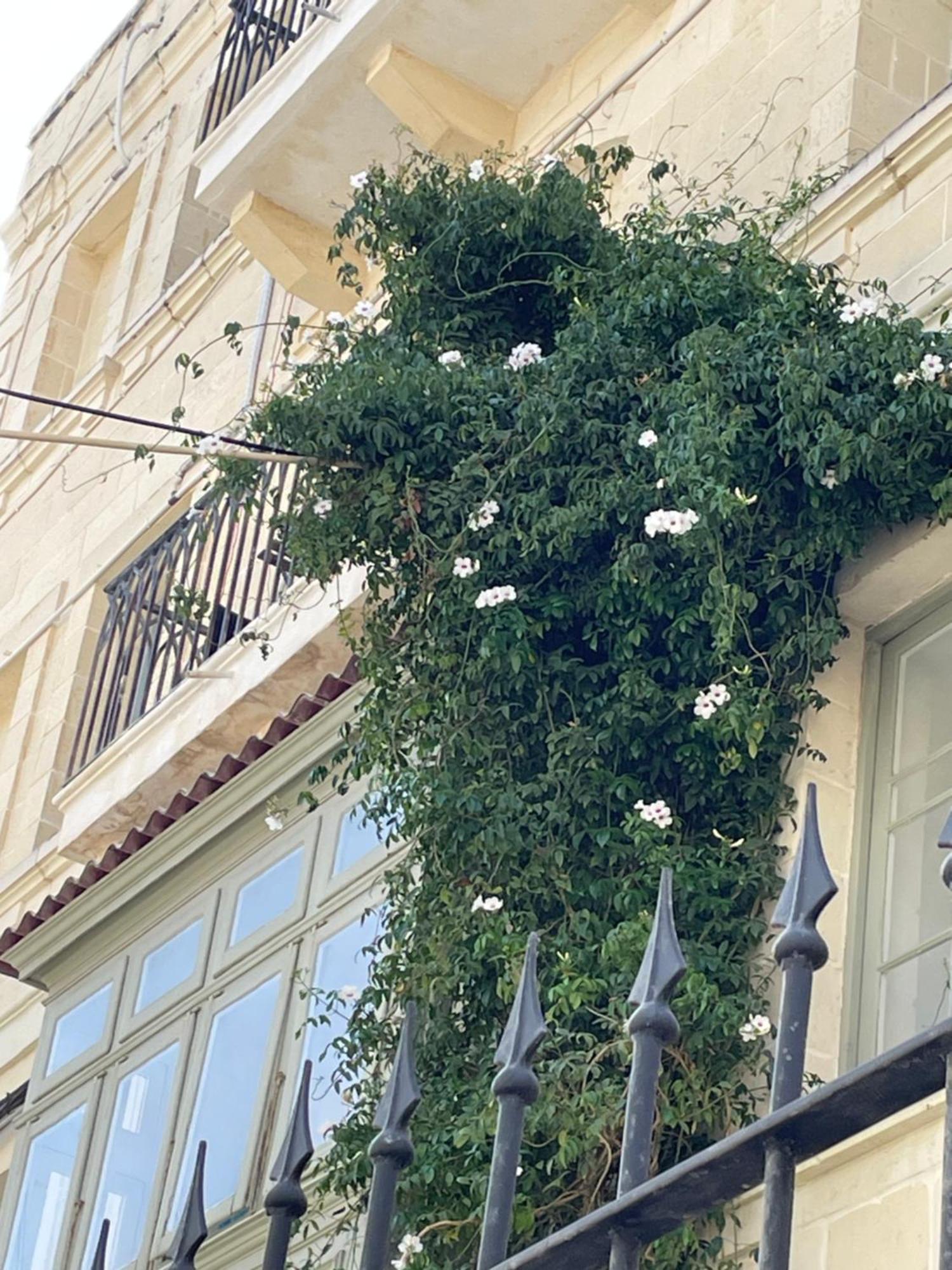 Simons Apartments Minutes Away From Balluta Bay And St Julians Sliema Eksteriør bilde